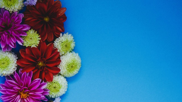 去几个赛季 去几个赛季