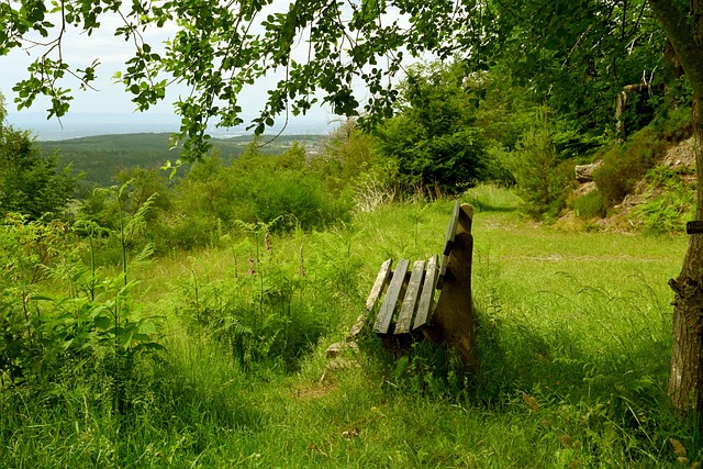 为球队足足 为球队足足