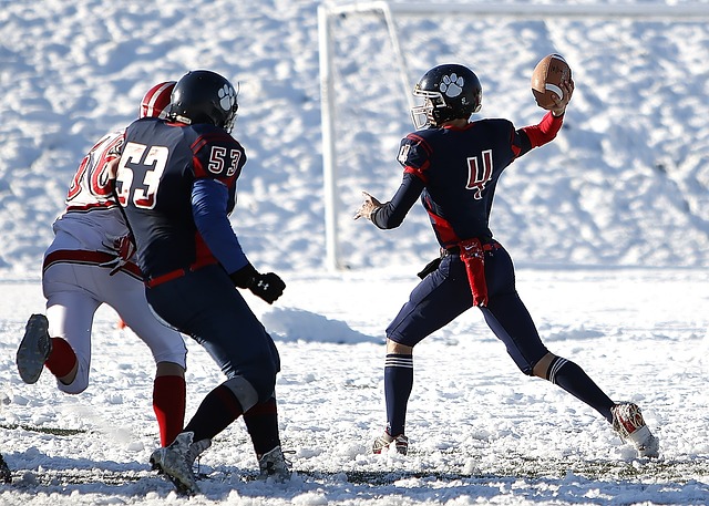 育的关注 育的关注