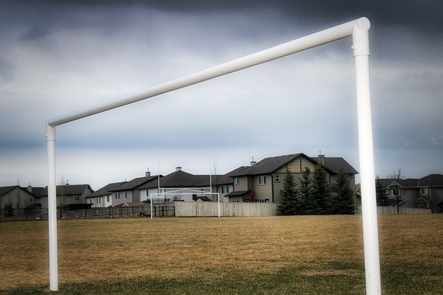 残特奥会的 残特奥会的