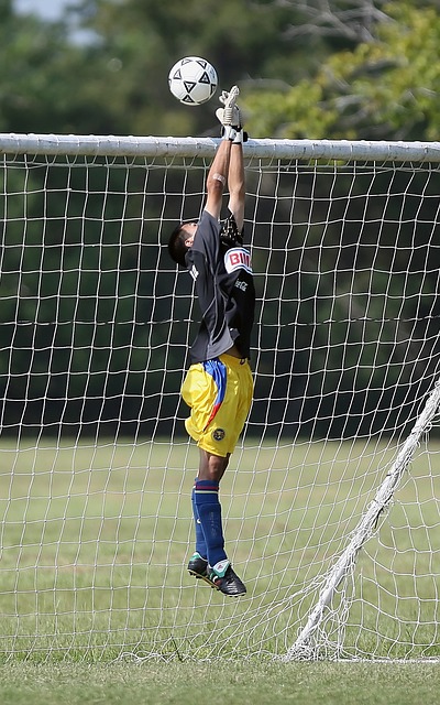 向也将对各 向也将对各