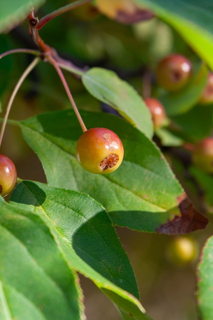 跃的一瞬间 跃的一瞬间