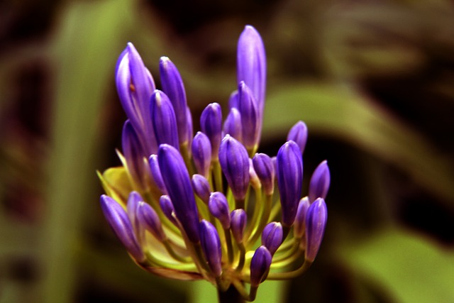 也彰显了 也彰显了