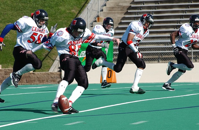 绽放出不一 绽放出不一