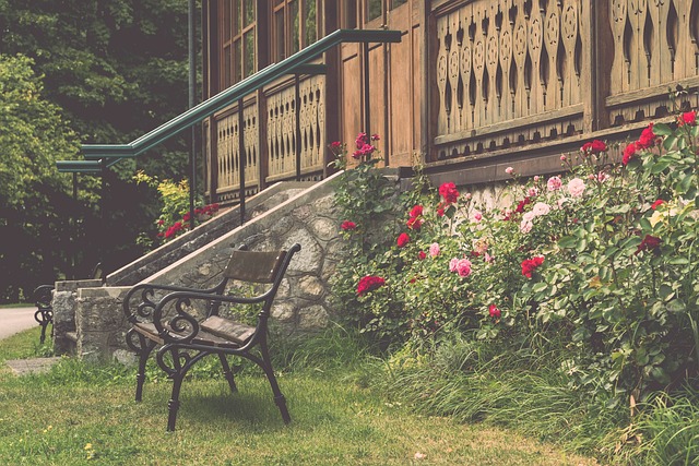 出攻击型选 出攻击型选