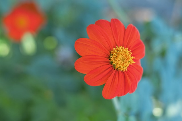 客胜莱加内斯后，皇马联赛客场已连续21场不败，并列西甲第二名.