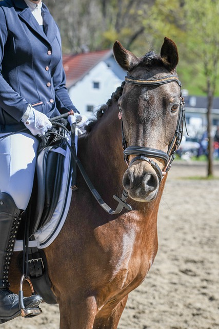 直是代际观 直是代际观