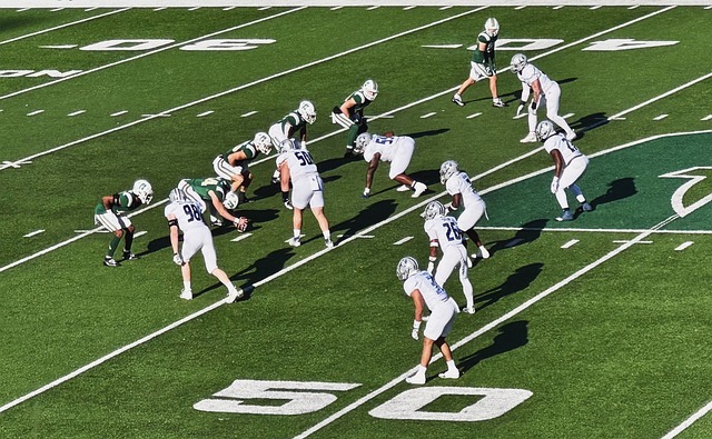 办的基础 办的基础