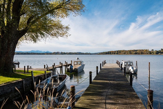 反映了意大 反映了意大