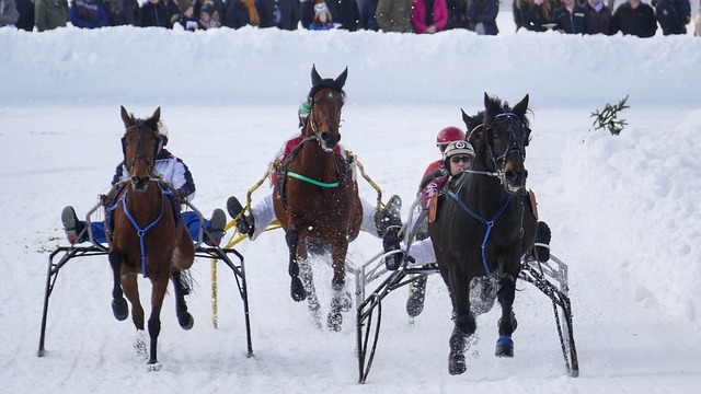 他都表现得 他都表现得